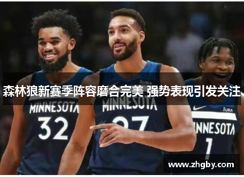 森林狼新赛季阵容磨合完美 强势表现引发关注